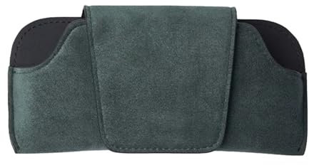 Support de lunettes de soleil pour voiture, porte-lunettes, cartes, tickets, accessoires de rangement (vert)