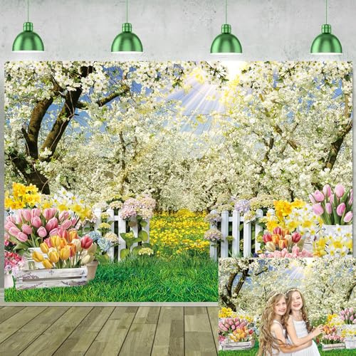 Toile de fond de printemps avec fleurs blanches forêt arbre jardin printemps paysage naturel de Pâques fond photographie arrière-plan enfants fête prénatale mariage anniversaire décorations bannière