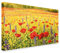 PICSonPAPER Leinwandbild Ölbild Mohnblumenfeld, 70 cm x 50 cm, Dekoration, Kunstdruck, Wandbild, Leinwand Welle, Meer, Blumen, Feld Mohnblumen