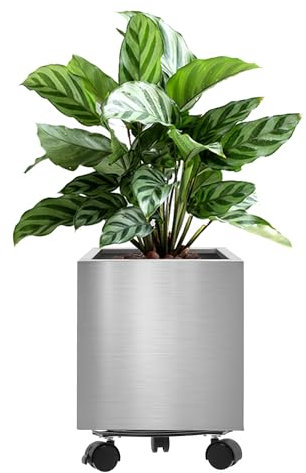LONGRUNNEW Quadratischer Pflanzkübel aus rostfreiem Stahl, 25 cm, mit Rädern, lackierte Oberfläche, leicht zu reinigen, für den Innen- und Außenbereich geeignet