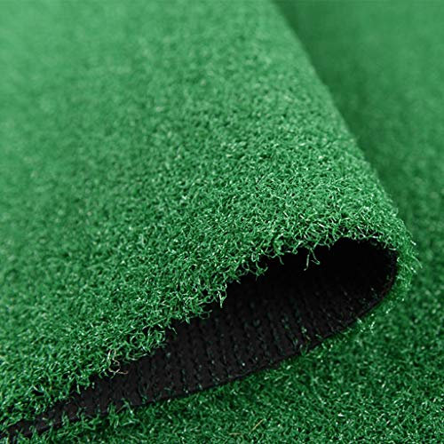 Kunstrasen, Fußmatte Mat Gefälschte Eingang Türmatten Indoor Outdoor for Patio Kunststoff Rasen Pet Rasen Hund (Size : 2x1m)