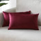 Sungeek 2er Set Samt Kissenbezüge, Dekorativ Zierkissenbezüge Weich Kissenbezug Dekokissen Sofakissen Couchkissen Deko Bezug Kissenhülle für Sofa Schlafzimmer Wohnzimmer (30x50 cm, Rotwein)