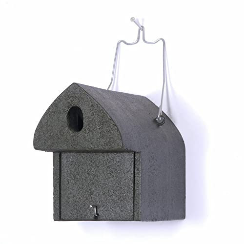 HASSELFELDT Nistkasten Holzbeton für Kohlmeise, Haussperling, Feldsperling & andere | Brutkasten für Vögel Wetterfest | Vogelhäuser für draußen | Nisthaus für Vögel Draussen | Vogelhaus