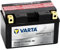 Batteria Moto Varta POWERSPORTS AGM 508 901 015-8Ah - Spunto 150A - TZ10S-BS (TZ10S-4) - FTZ10S-BS (FTZ10S-4) - YTZ10S-BS (YTZ10S-4) - 150mm - 87mm - 93mm