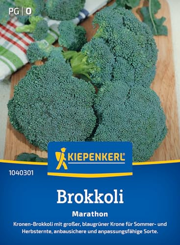 Kiepenkerl Brokkolisamen Marathon 1040301, Gemüsesaat | Blaugrün, anbausicher, Samengemüse, Samen Anzucht, Aussaat ab Saatbeet