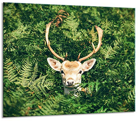 Herdabdeckplatten Ceranfeldabdeckung Spritzschutz Glas 60x52 Hirsch