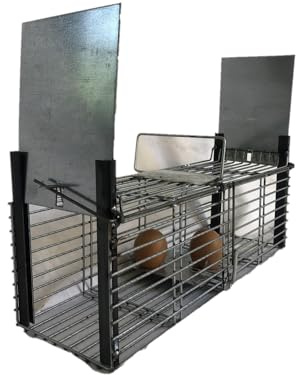 Boite piège Contre Rats Gris Noirs