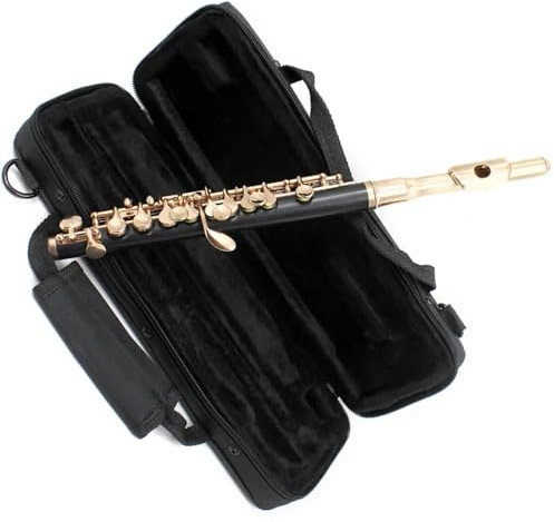 Flötenset Halbgroßes Flöteninstrument in C-Tonart mit elektrischem Holzkorpus und vergoldeten Klappen