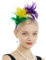 Bunte Feder-Haarbänder, Haarreif Hochzeit Kopfbedeckung, Fasching, Papagei Kostüm, Kopfschmuck Karneval, Federn Fascinator Damen