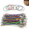 SHENGYIG 105 Stück Schlüsselanhänger Ringe, Groß und Bunt, Edelstahl mit Nylon-Beschichtung, Ideal für Gepäckanhänger, Taschenlampen und ID-Tags