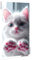 5D Diamond Painting Erwachsene Kinder, Diamond Painting Bilder Kitty Diamond Painting Zubehor, DIY Groß Full Drill Crystal Kreuzstich Art Basteln, für Wohnzimmer Schlafzimmer Wanddeko 70x140 cm K948