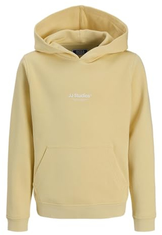 JACK & JONES Jungen Jjesoho Sweat Hood Noos Mni