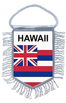 Akachafactory Wimpel mini Flagge Fahne flaggen miniflagge usa Hawaii
