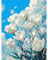 QENSPE Peinture par numéros pour adultes, tulipe DIY peinture à l'huile par numéros sur toile artisanat Fleur avec pinceaux peintures acryliques pour enfants, décoration d'intérieur 30x40cm