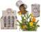 ootb Dosenblume Blumenwiese Wiesenblumenkerne in Einer dekorativen Geschenkdose