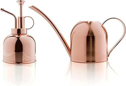 Süßes Gießkannen-Set für Zimmerpflanzen, Gießkanne für den Innenbereich, mit 530 ml Sprühnebel, rotgoldene Edelstahl-Gießkanne – moderne Metall-Wasserkanne