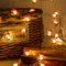 Eledreme lichterkette innen batterie, 2m20 lichterkette pilze, pilz deko Lichtervorhang außen, Warmweiß lichtervorhang sterne, LED mushroom lamp frühling deko für Party, Weihnachten, Balkon