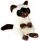 TY Beanie Babies Miso Siamese Katze 15CM – Weiches Plüschtier für Kinder – Sammlerstück Kuschelteddy – Stofftier Geschenk