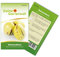 Melonenbirne Birnenmelone Pepino Samen - Solanum muricatum - Melonenbirnensamen - Obstsamen - Saatgut für 6 Pflanzen