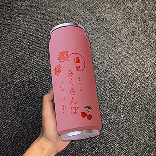 PEXIZUAN Kawaii Water Bottles Stainless Steel Water Bottle Kawaii Water Bottle with Straw Japanese Water Bottle Insulated (500ml/16.9oz, Pink daisy)