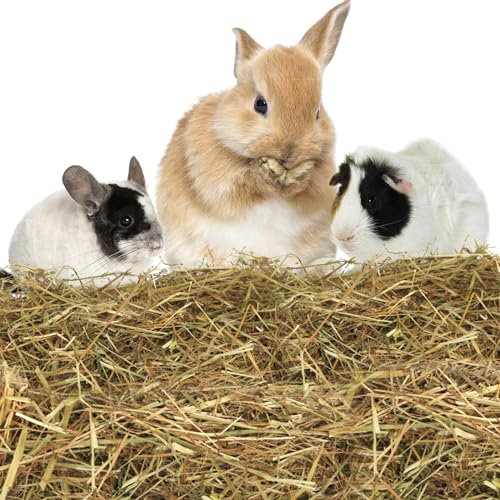 Nobleza - (2.5kg Foin pour Lapin, Nourriture pour Rongeurs Appétente et équilibrée, Participe à l’Usure Naturelle de Dents