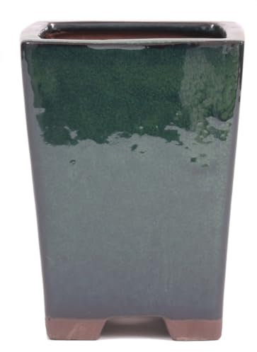 Bonsai-Shopping Bonsai - Kaskadenschale 10.5 x 10.5 x 14.5 cm, grün 50174