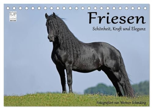 Friesen - Schönheit, Kraft und Eleganz (Tischkalender 2025 DIN A5 quer), CALVENDO Monatskalender: Friesenpferde - die edle Pferderasse