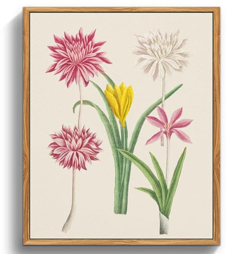MHARTK66 Vintage Botanisch Leinwand Bilder mit Rahmen Holz, 20x25 cm Klein Wandbilder Wohnzimmer Rosa Blumen Bild Aesthetic, Blumen Illustration Wanddeko Schlafzimmer Badezimmer Büro Zimmer