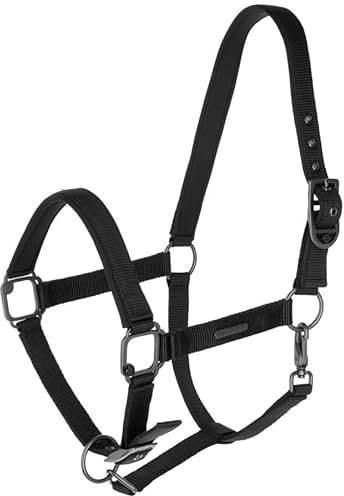 Covalliero Halfter Black FS 2025, Größe:Cob