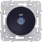 Schneider Electric - Odace, prise SAT Anthracite, à vis - S540446