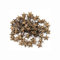 WedDecor Bronze 10mm Nailhead Étoile Clous Main Pressées Métal Punk Rivets pour Cuir Artisanat, Gothique & Accessoires, Ceinture, Créateur Vêtements Et DIY Décoration, 50pcs