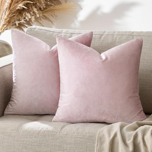 GIGIZAZA 2er Set Rosa Kissenbezug Samt Kissenbezüge Dekorative Kissenhülle Sofakissen Zierkissen deko Dekokissen für Wohnzimmer Schlafzimmer Sofa Auto 40cmx40cm