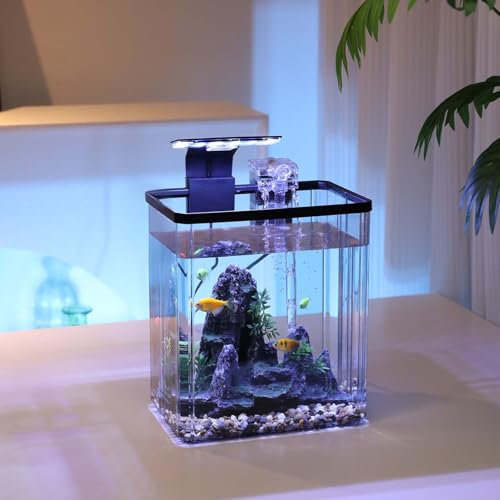 Aquarium de 10 l avec lumières LED et pompe, kit complet pour aquarium, 22,5 cm L x 15 cm l x 25,5 cm H, mini aquarium, kit de démarrage pour aquarium, décoration pour salon, maison, bureau
