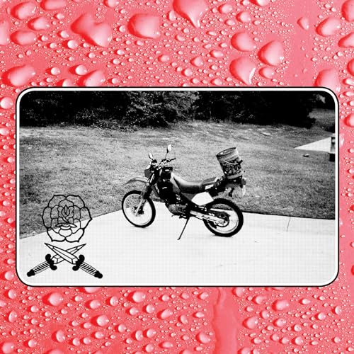 Say I Won't [Vinyl LP]