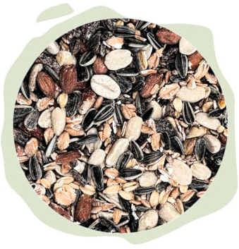 Warnick's Vogelfutter Vogelmix - 3 kg im Eimer | Ganzjähriges Futter für Vögel - Natürliche, ambrosiafreie Zutaten - Ausgewogene Saatenmischung für Wildvögel