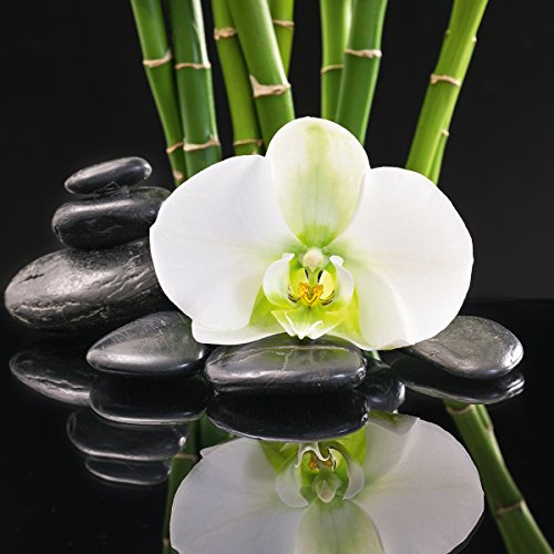 Eurographics Black Orchid Reflection I 20x20 Glasbild, Glas, bunt, 20 x 20 x 1.7 cm