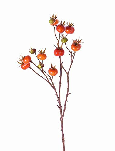 artplants.de Deko Zweig Apfelrosenzweig Gerda mit Früchten, orange, 65cm - Kunstblume Wildrose