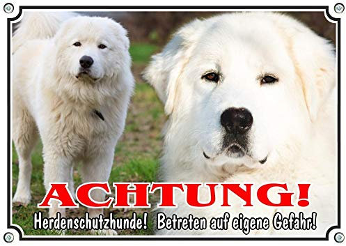 Petsigns Hundeschild 2 Maremmen-Abruzzen-Schäferhunde - Warnschild Maremmano aus Metall - uv beständig, DIN A4