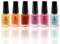Vivien Kondor (6pcs Set) Henna Infused Permeable Nail Polish Wudhu and Vegan Friendly Long lasting Halal Polish (Summer)