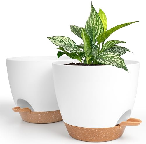 Winter Shore Maceta Autorriego de 20 cm [Pack de 2] - Maceta Plastico Blanco y Marrón con Agujeros de Drenaje, Platillo, Depósito de Agua - Macetas Decorativas Interior y Exterior Modernas