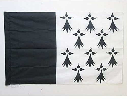 AZ FLAG - Flagge Pays Rennais - 90x60 cm - Rennes Fahne 60 x 90 cm Scheide Für Mast - Flaggen