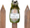NETPROSHOP Zaunhocker Zaunfigur Rabe oder Frosch aus Metall, H: 15-25cm, Auswahl:Hier wache ich