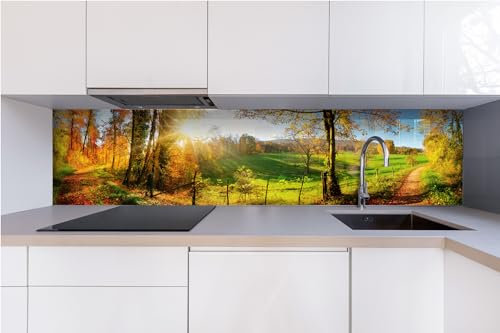 Dimex Küchenrückwand Verbundplatte Wiese 240 x 60 cm | Spritzschutz Küche für Herd Spüle | Premium Qualität, Acrylglas - Plexiglas, Stärke 5 mm - Made in EU | Inklusive Kleber