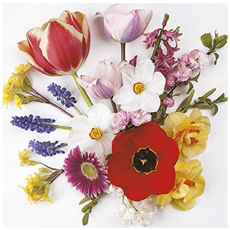 Auswahl Motiv - 20 Servietten / Napkins - ca. 33 x 33 cm 3-lagig - Frühlingsblumen aus dem Garten Tulpen Hyazinthen Gerbera - Tisch-Deko Basteln Serviettentechnik