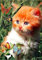 Diamond Painting, DIY Kinder Diamant Painting Bilder, Katzenschmetterling 5D Erwachsene Groß Vollbohrer Diamant Malerei Cross Stickerei Malerei Kits, für Wohnwand Wand Dekoration Geschenk 60x90cm