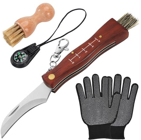 GVDV Coltello per Funghi, Coltello a Funghi con Spazzola, Bussola e Guanti, Coltello Micologica Manico in Legno, Spazzola in Setola di Cinghiale