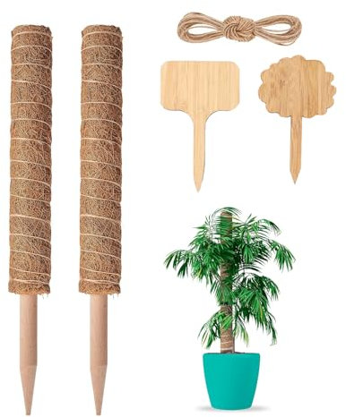 FAINCA 2 Pièces Tuteur Plante, 40 CM Tuteur Monstera, Tuteur Plante Grimpante, Empilable Support Plante Grimpante, Con 2 Etiquettes en Bambou et Ficelle 2 m Long, pour Plantes Grimpantes Extension