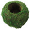 Palla di muschio, fioriera naturale da 6 pollici Bonsai Muschio Kokedama Vaso da fiori Verde Bonsai Porta piante per giardinaggio fai da te Piantagione Decorazione della tavola di casa Bonsai Muschio
