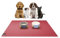 SanoZoo® Napfunterlage - Öko-TEX - Made in Germany - rutschfeste Futtermatte für Hunde & Katzen 60x90cm Rot, wasserfest