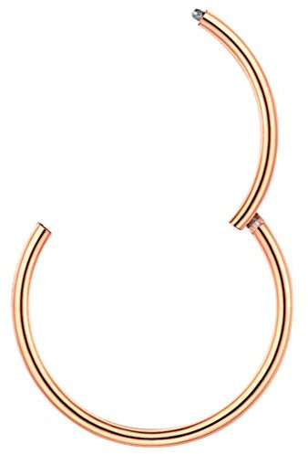 PROSTEEL Segmentring Clicker Rosegold vergoldet Nasenring Helixring Lippenring 20G 10mm Universal Piercing Nase Septum Ohr Tragus Conch Rook Fashion Körper Schmuck Accessoire